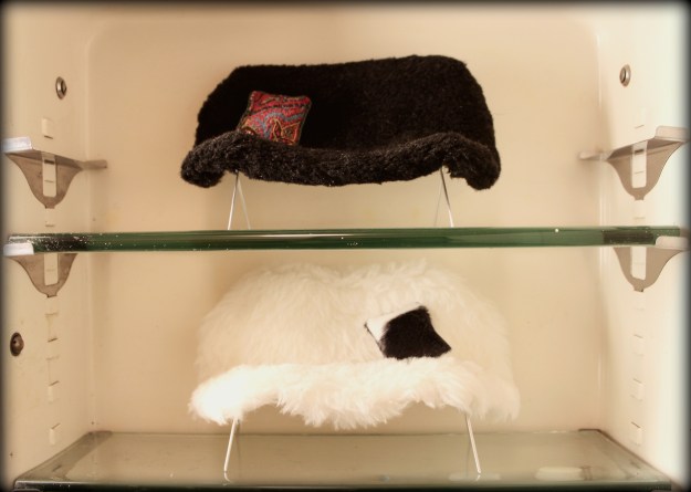 take one in black and one in white